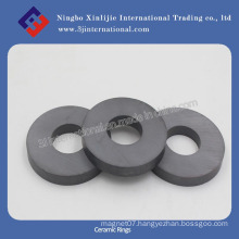 Ferrite Magnets/Ceramic Rings (XLJ-1110)